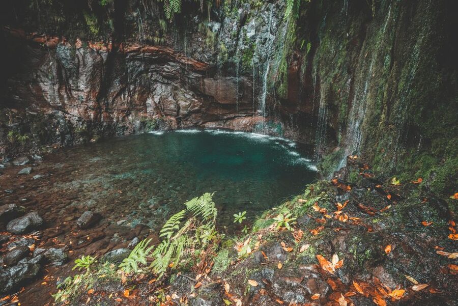 Madeira: Rabaçal Valley and the 25 Fountains Hike - The Levadas Lesson While You Walk Back