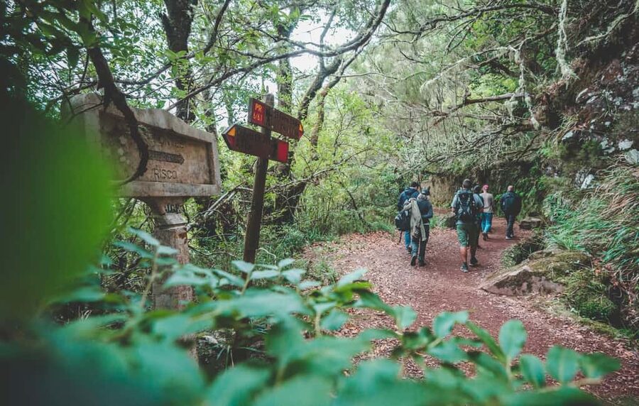 Madeira: Rabaçal Valley and the 25 Fountains Hike - Getting There From Your Hotel: The Van Ride and the Real Timing