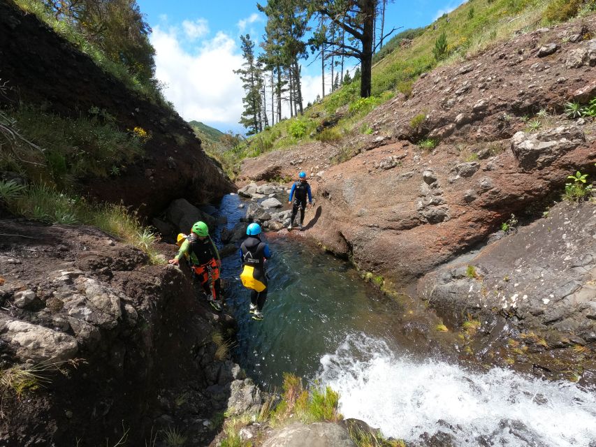 Madeira : Ribeira das Cales Canyoning (Level 1) - Price and Value: Is $76 a Good Deal for Level 1?