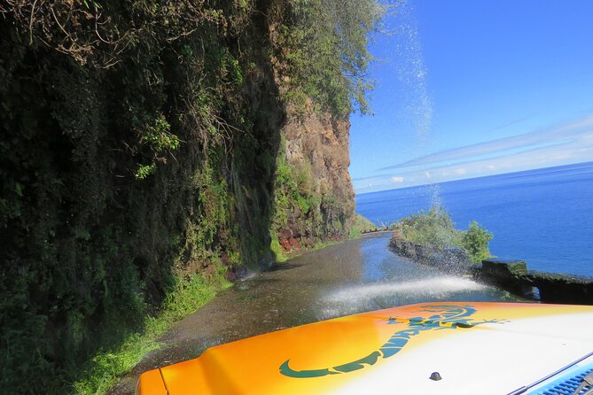 Madeira's Majestic South Coastal Wonders - Ponta do Mar shelter harbour and Miradouro viewpoints for quick photo payoff