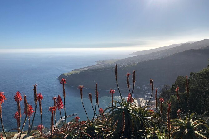 Madeira Safari - East of the island - Santana: traditional village feel with an open-roof advantage