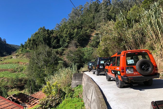 Madeira Safari - East of the island - Poiso, Arieiro’s Peak, and the “spine” of east Madeira
