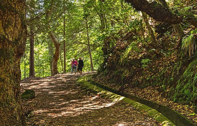 Madeira: Santana Jeep Safari and Referta Levada Walk - Faial Photo Stop: Small Break, Nice Perspective