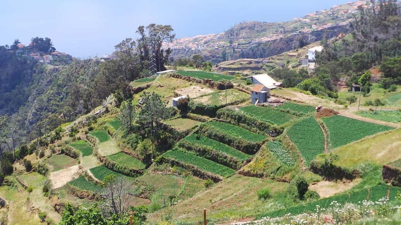 Madeira: Santana Jeep Safari and Referta Levada Walk - Santana Village: Thatched Roofs, Culture, and Time to Wander
