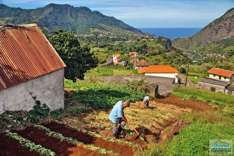 Madeira: Santana Jeep Safari and Referta Levada Walk - Ponta de São Lourenço: Dry Cliffs and Two Coast Views