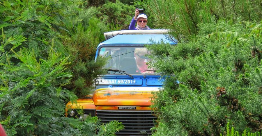 Madeira : Santo de Serra Local Farmers' Market half day trip - Open-top 4x4 ride: thrilling, but plan for comfort and visibility