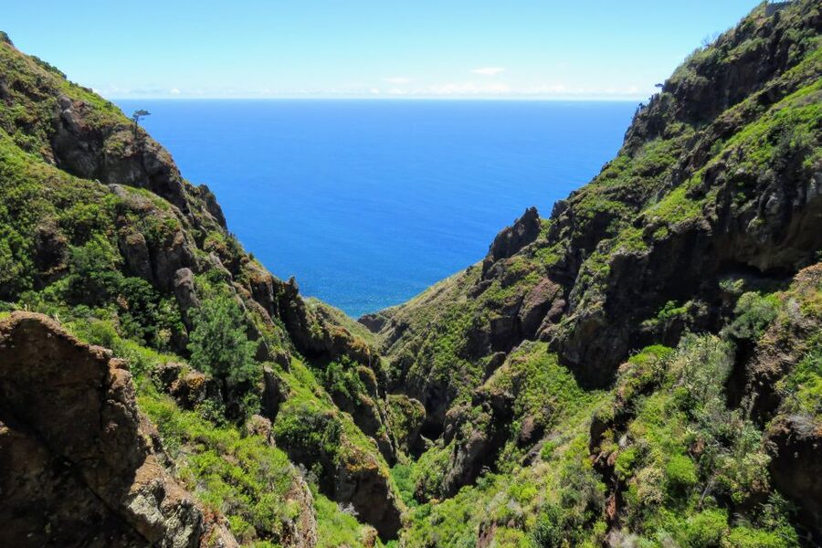 Madeira : Santo de Serra Local Farmers' Market half day trip - How to shop the market without stress (cash, timing, and simple choices)