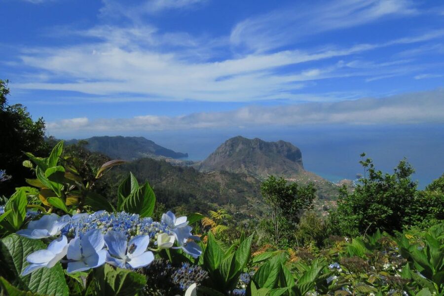 Madeira : Santo de Serra Local Farmers' Market half day trip - FAQ