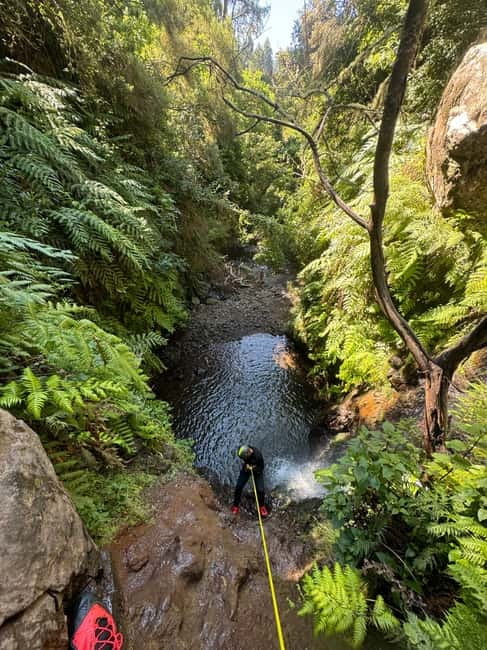 Madeira Short Canyoning For Beginners Rochão Level 1 - Key Highlights You Will Actually Notice