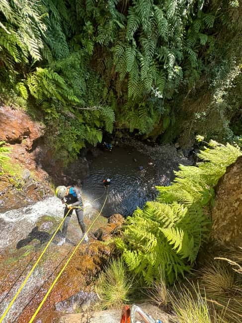 Madeira Short Canyoning For Beginners Rochão Level 1 - Where Rochão Level 1 Canyoning Happens in Funchal (and Why That Matters)