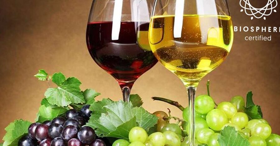Madeira: Signature Wine Tasting, Skywalk & Nature Expedition - Quinta do Barbusano and the structured Madeira wine tasting
