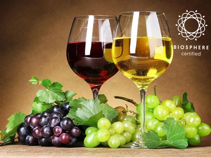 Madeira: Signature Wine Tasting, Skywalk & Nature Expedition - The guides, the small group feel, and why the day moves well