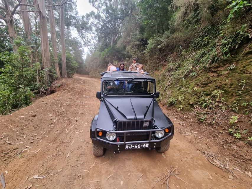 Madeira : SkyWalk, Fanal, Natural Pools 4x4 Jeep Tour - A 4x4 Private Route Over Madeira’s Northwest