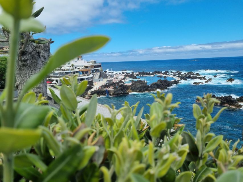 Madeira : SkyWalk, Fanal, Natural Pools 4x4 Jeep Tour - Campanário and Ponta do Sol: Viewpoints With Room to Breathe