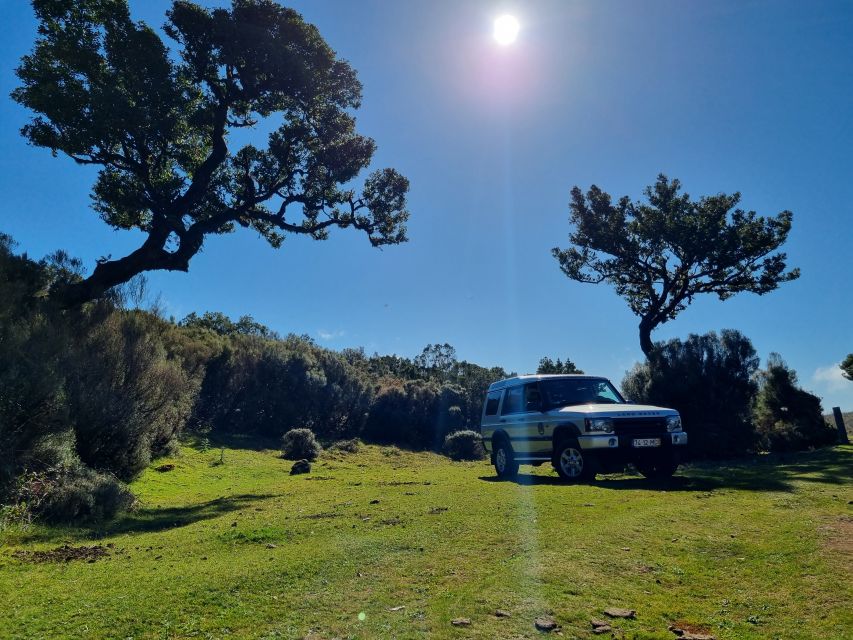 Madeira : SkyWalk, Fanal, Natural Pools 4x4 Jeep Tour - Ribeira da Janela: Coastal Drama and Photo Time