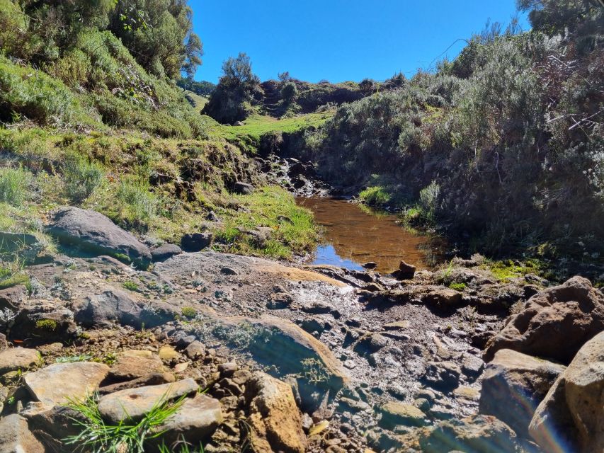 Madeira : SkyWalk, Fanal, Natural Pools 4x4 Jeep Tour - Porto Moniz Natural Swimming Pools: The Long Break You’ll Actually Use