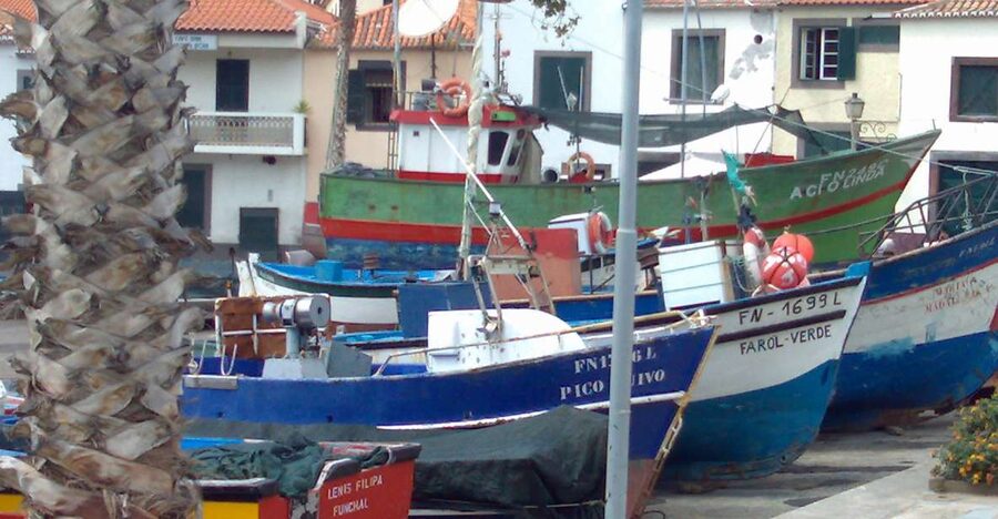 Madeira South West: Half Day Private Tour - Ponta do Sol: the sunniest spot, and the name that tells you why