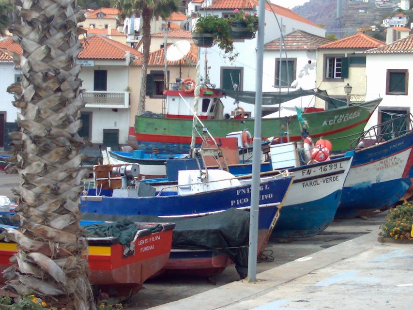 Madeira South West: Half Day Private Tour - Value and cost: how $100 for up to 4 makes sense