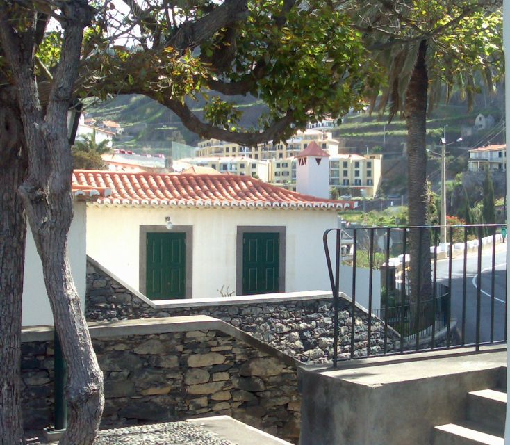 Madeira South West: Half Day Private Tour - The private van, pickup, and the 4-hour rhythm