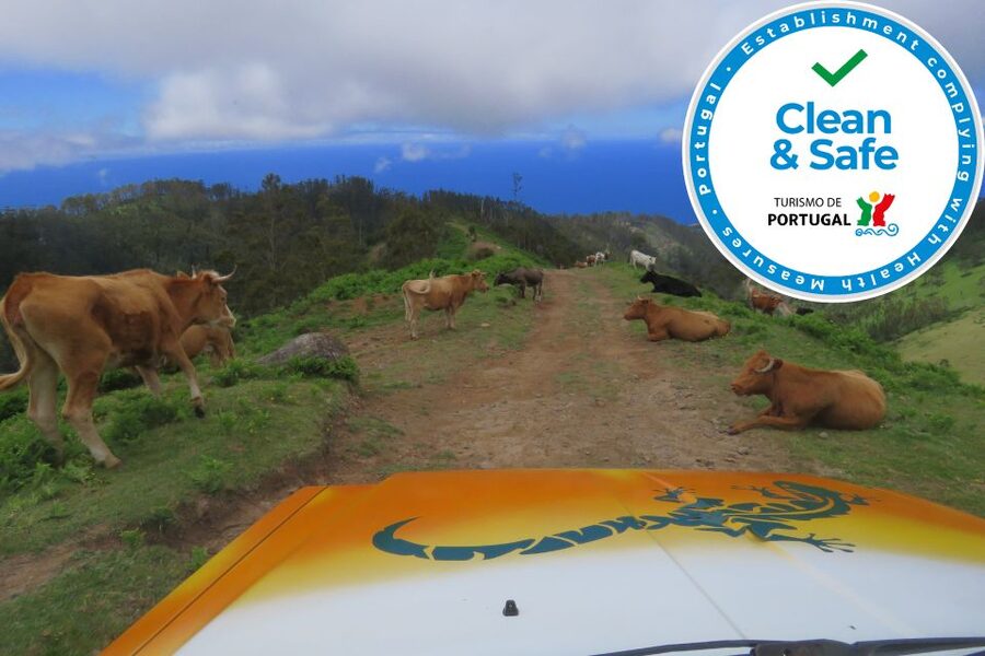 Madeira : Southwest coast, Run & Anjo´s Waterfall 4x4 Tour - Ponta do Sol, Fajã da Ovelha, and Prazeres: terraces, farms, and village life