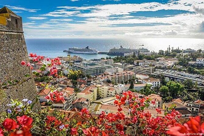 Madeira Special City Tuk Tuk Tour and Viewpoints by MadTuk - Price and Value: Is $66.09 a Smart Deal Here?