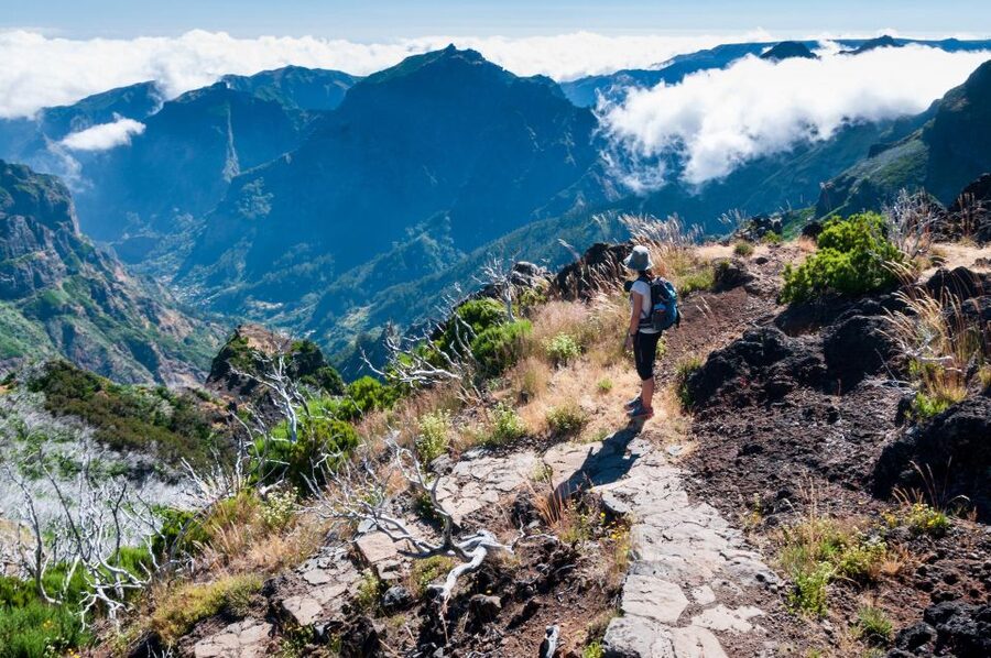 Madeira Stairway to Heaven to Larano Hike Mountain to Sea - Price and value: why $88 can make sense here