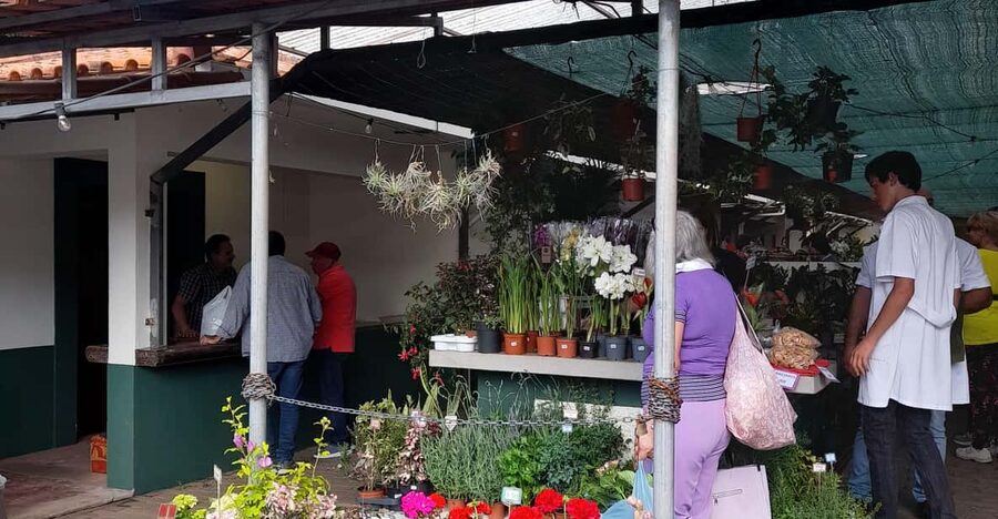 Madeira: Sunday Market in Santo da Serra - At the Market: Food Tasting and Culture You Can Actually Use