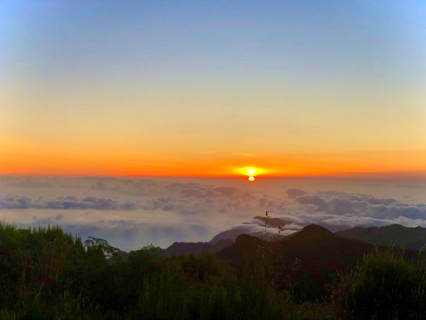 Madeira: Sunrise at Pico do Arieiro & Hike Larano trail - Who this tour suits best (and who should skip it)