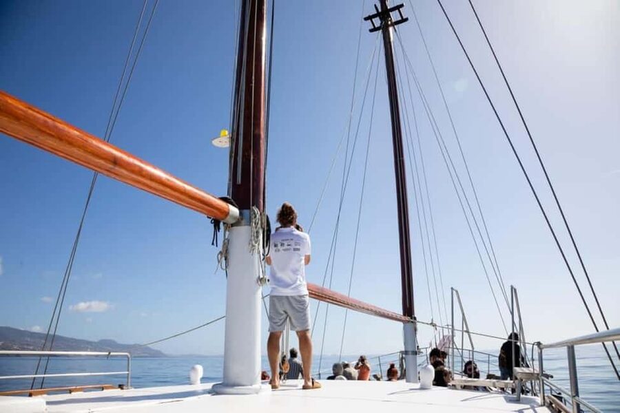 Madeira: Sunset Cruise With a Swim and Drink - Drinks and Madeira wine tasting: included, plus what you can buy