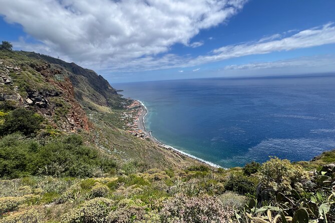 Madeira surprise tour - Stop 4: Paul da Serra Plains, Animals, and 4x4-Style Roads