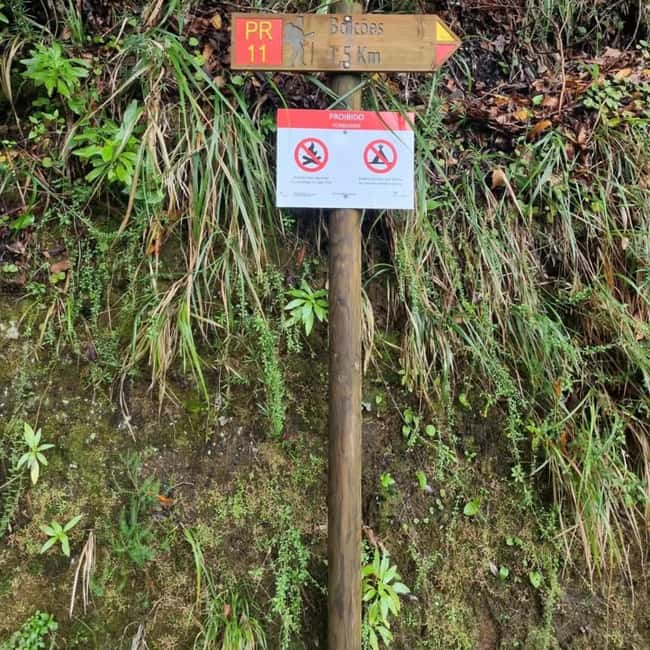 Madeira: Surreal East Experience - Ponta de São Lourenço and the 1.5 km nature hike for bird lovers