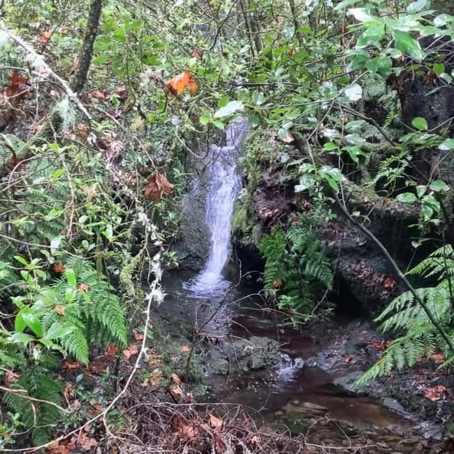Madeira: Surreal East Experience - Your first taste of Madeira’s east side: viewpoints, wind, and timing
