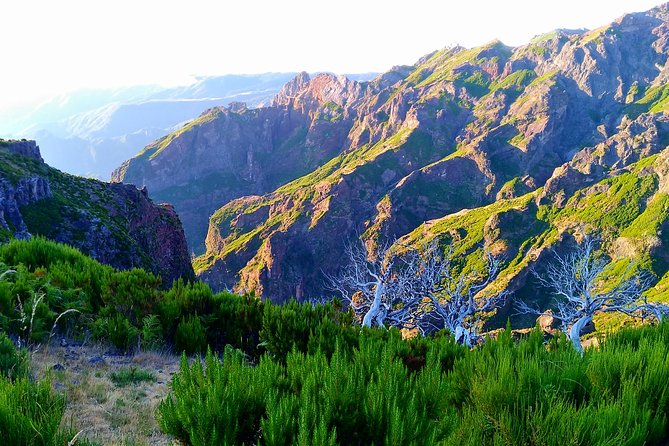 Madeira Top Sunrise - The 4:00 AM Start, Pickup, and the Real Meaning of “Small Group”