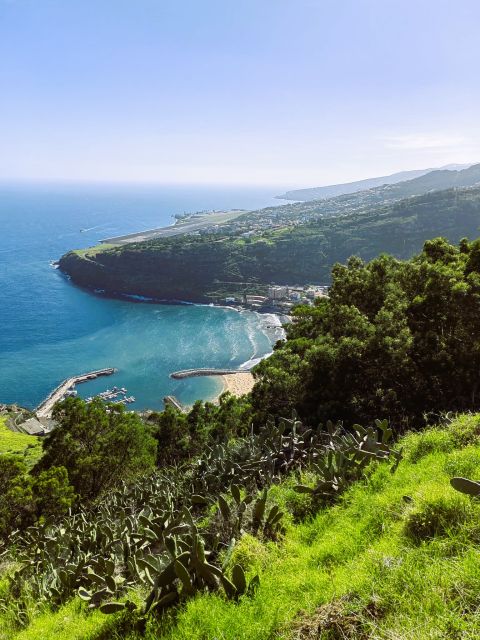 Madeira tour- Santana - Full Day - Key highlights you will actually feel on this tour