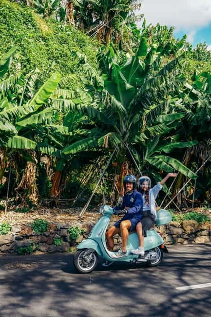 Madeira: Vespa Primavera 125cc 24-Hour Rental - Should you book this Vespa Primavera 125cc 24-hour rental?