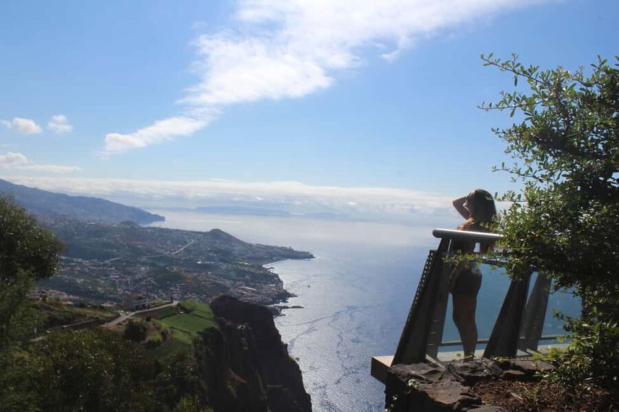 Madeira: Vineyard Tour w/ Wine Tasting & Skywalk - Quick hits you will feel in real time