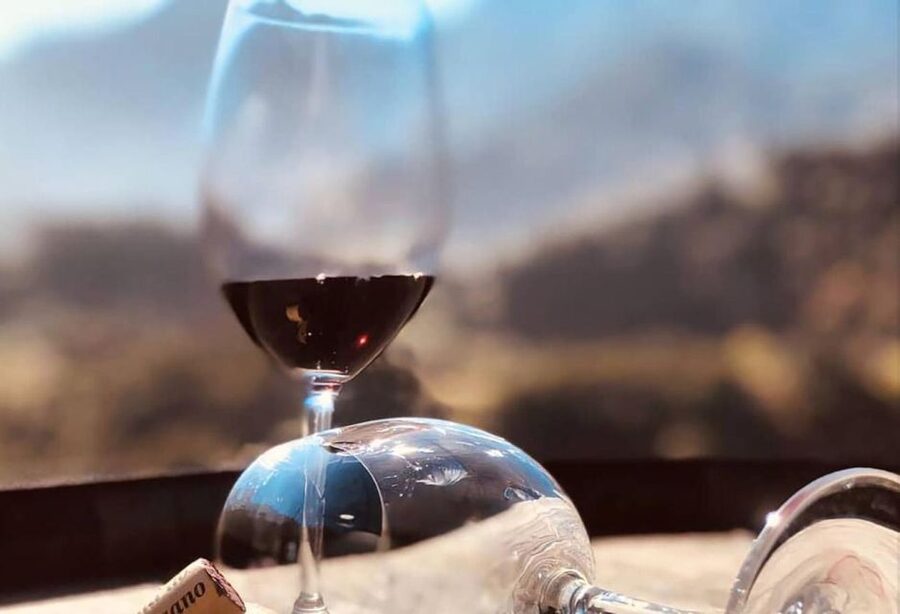 Madeira: Vineyard Tour w/ Wine Tasting & Skywalk - What to look for during the pours (so the time feels worth it)