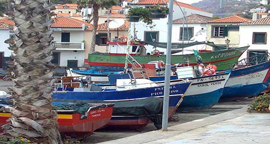 Madeira: Vineyard Tour w/ Wine Tasting & Skywalk - Price and value: why $86 feels fair for this specific Madeira mix