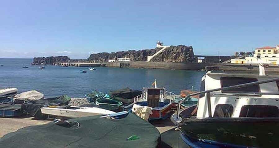 Madeira: Vineyard Tour w/ Wine Tasting & Skywalk - Câmara de Lobos: a short guided stop with monk seal lore and port-bay charm