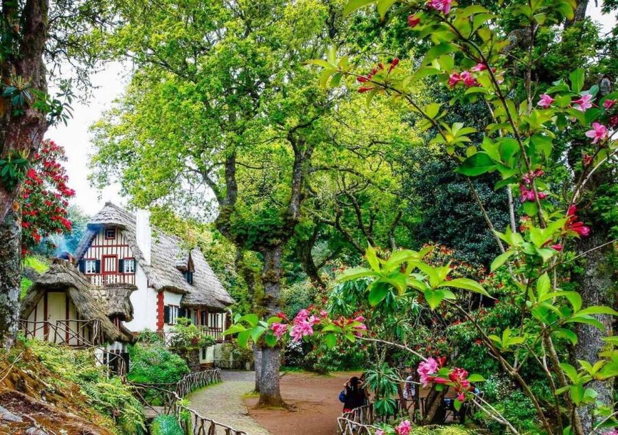 Madeira: Walking Tour - Queimadas / Caldeirão Verde - Key highlights at a glance