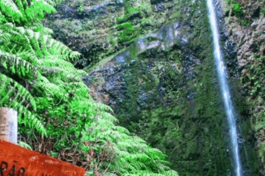 Madeira: Walking Tour - Queimadas / Caldeirão Verde - Queimadas to Caldeirão Verde, a green Madeira day
