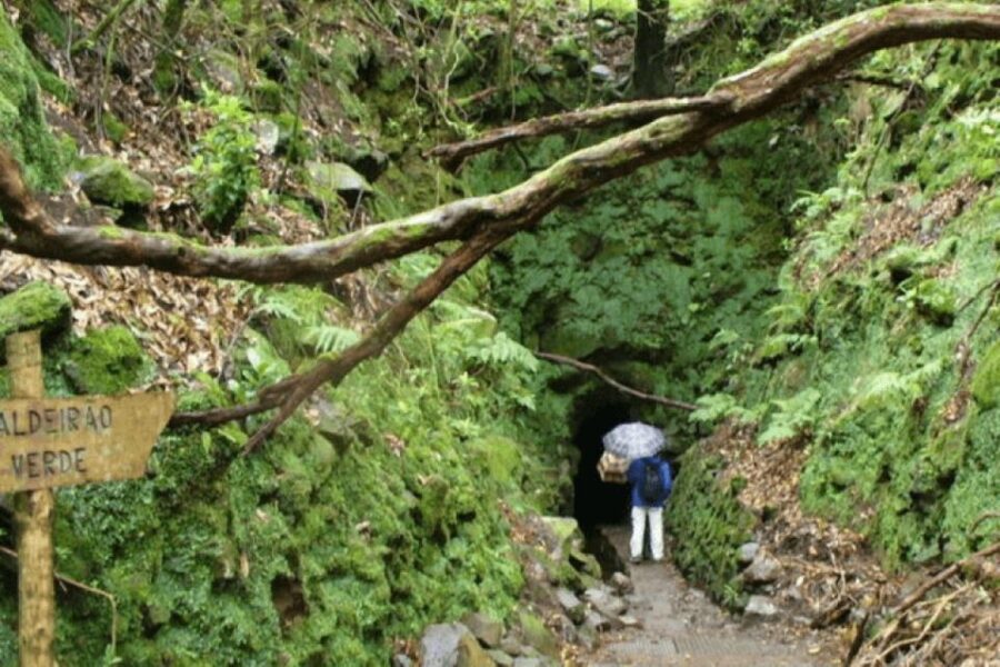 Madeira: Walking Tour - Queimadas / Caldeirão Verde - São Jorge views: where the route opens up