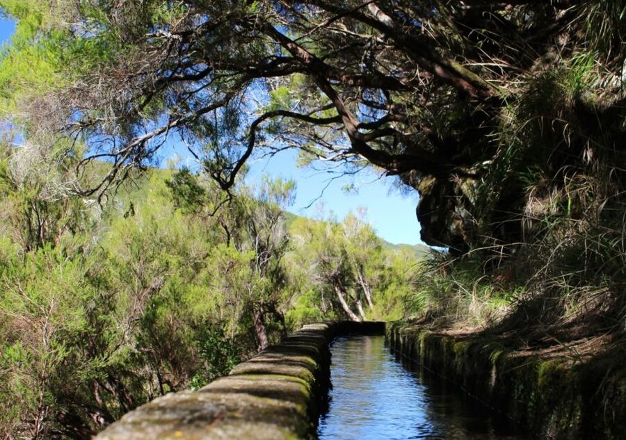 Madeira : Walking Tour-Rabaçal /25 Fontes - Guide and Group Experience: Multilingual Help, Plus One Word of Caution
