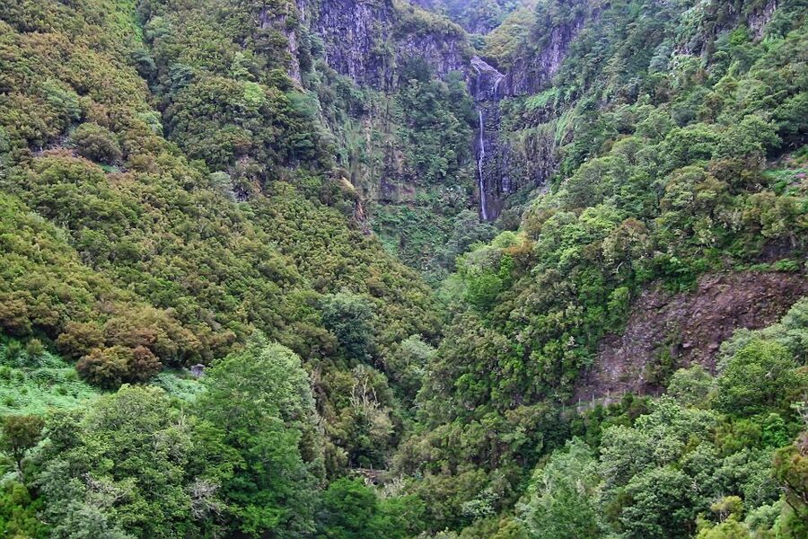 Madeira Walks - Rabaçal and the 25 Fountains - Who this tour is best for, and who should think twice