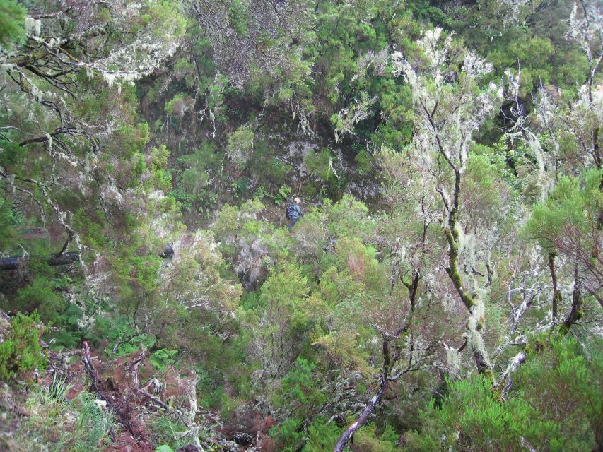 Madeira Walks - Rabaçal and the 25 Fountains - The 25 Fountains: springs, a clear lake, and a signature sound