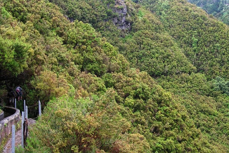 Madeira Walks - Rabaçal and the 25 Fountains - What’s included, what’s on you, and the real value of $50