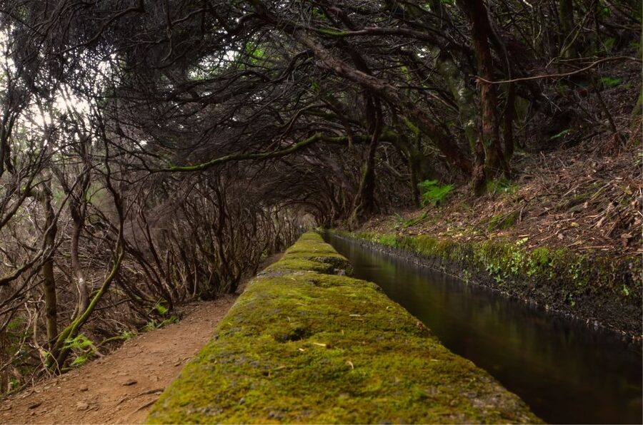 Madeira Walks - Rabaçal and the 25 Fountains - The quick café stops, and why they can help you feel better