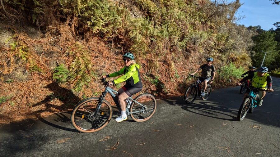 Madeira West coast: Guided Sightseeing E-Bike Tour - Guide quality is the real differentiator on this ride