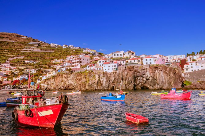 Madeira West Island Full Day Small-Group Tour from Funchal - Camara de Lobos Fishing Village Break With Bay Views