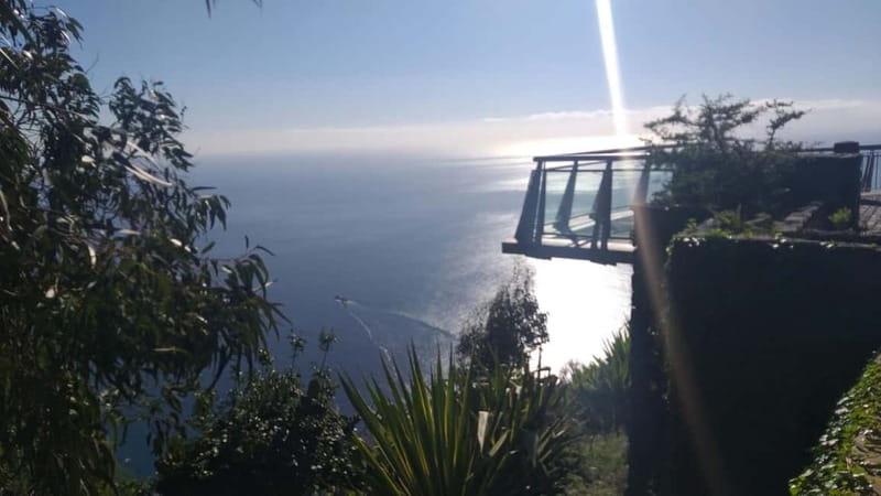 Madeira West Island Full-Day Tour with Fanal Forest - Seixal and São Vicente: waterfall views, surf-style coastline, and a wine finish